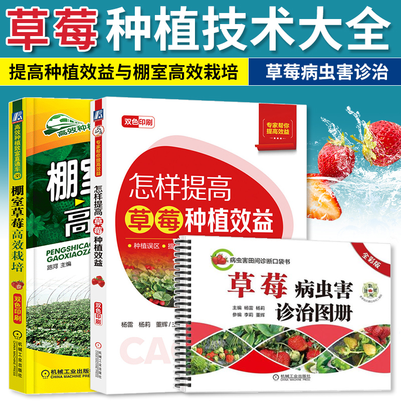 [正版]草莓种植栽培技术大全书籍 棚室高效栽培 病虫害诊治图册 怎样提高草莓种植效益 防治教程种育苗栽培和精细化管理高清大图