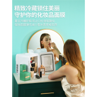 科敏车载迷你小冰箱小型家用租房mini寝室宿舍用化妆品冰柜办公室_10LK10高配型制冷空间温差25℃220V家用白色