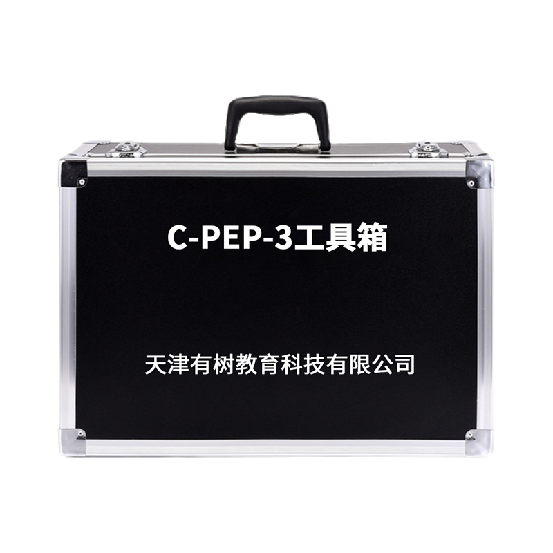 有树 YSXL-CPEP3 C-PEP-3自闭症孤独症量表儿童测试减压专业早教教具 黑色