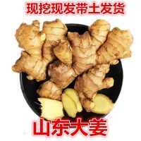 大黄姜净重3斤装 生姜老姜月子姜现挖现发黄姜老姜新鲜蔬菜