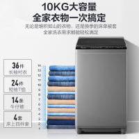 [官方直营]小天鹅(LittleSwan) 变频波轮洗衣机全自动免清洗直驱变频一键脱水除螨洗10公斤TB100V23DB