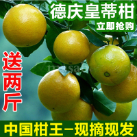 顺丰快递 果子现摘 10斤装 正宗德庆皇帝柑 贡柑 新鲜整箱现摘现发 橘子桔子当季水果橙子