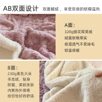 洁丽雅塔芙绒羊羔绒毛盖毯被子加厚冬季加绒学生宿舍午睡毯