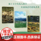 大字版羊道三部曲 春牧场/前山夏牧场/深山夏牧场 我的阿勒泰遥远的向日葵地冬牧场作者李娟非虚构经典游牧生活花城出版社