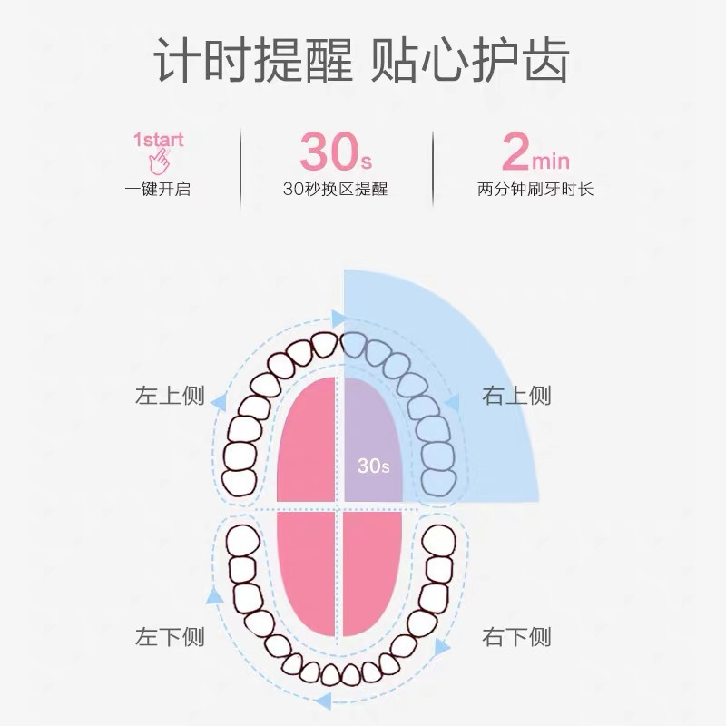worms电动牙刷成人家用软毛超声波防水美白全自动网红款情侣牙刷 女王粉六档位充电款 配(原装6刷头+USB线)