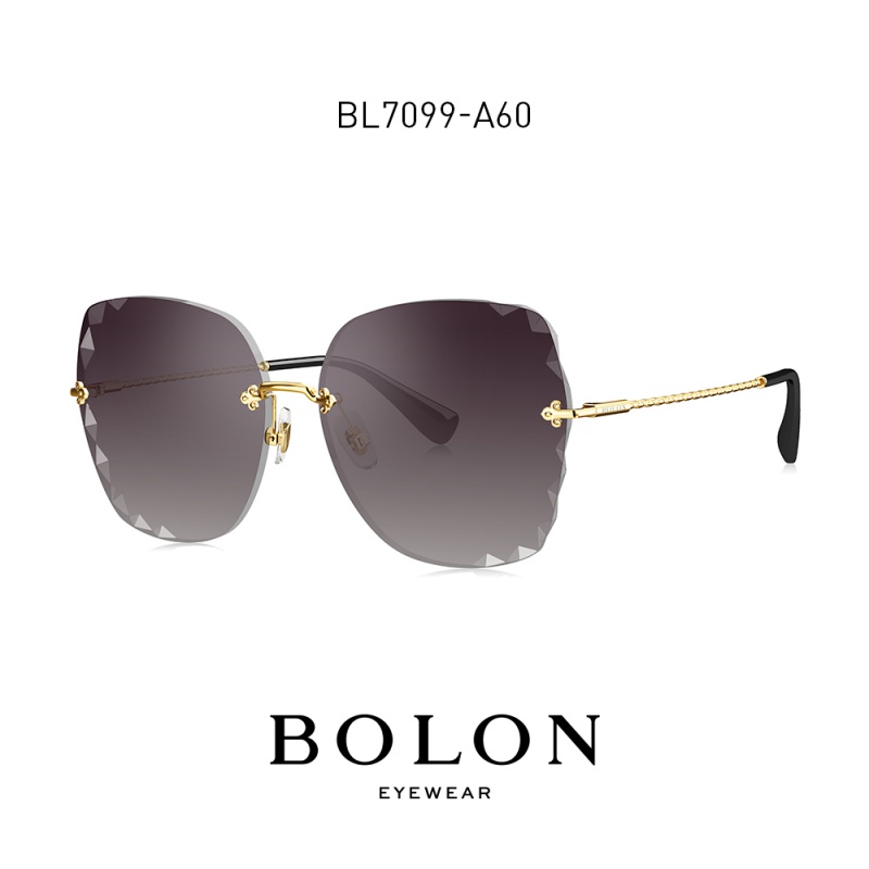 暴龙2020新款太阳镜女蝶形时尚潮流街拍墨镜金属框眼镜BL7099高清大图