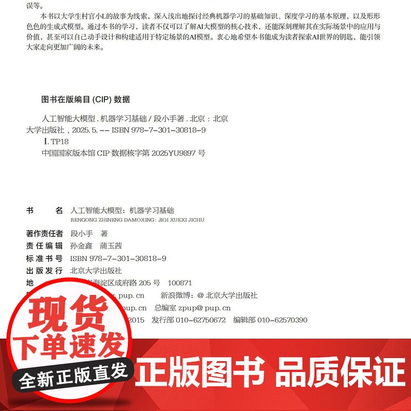 人工智能大模型 机器学习基础 段小手 北京大学出版社 9787301308189高清大图