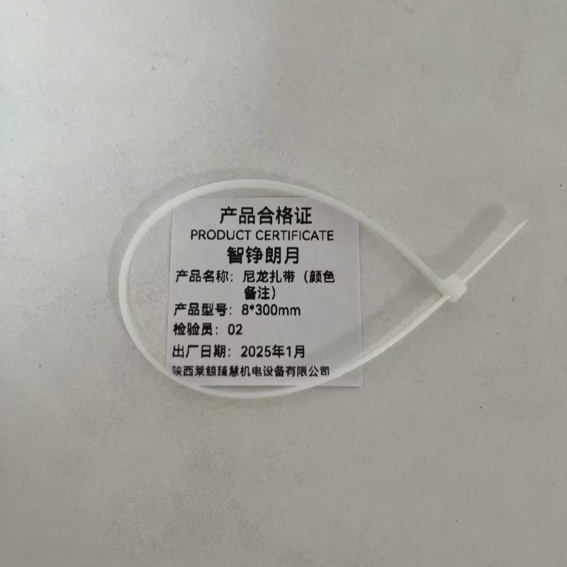 智铮朗月 尼龙扎带 8*300mm 根高清大图