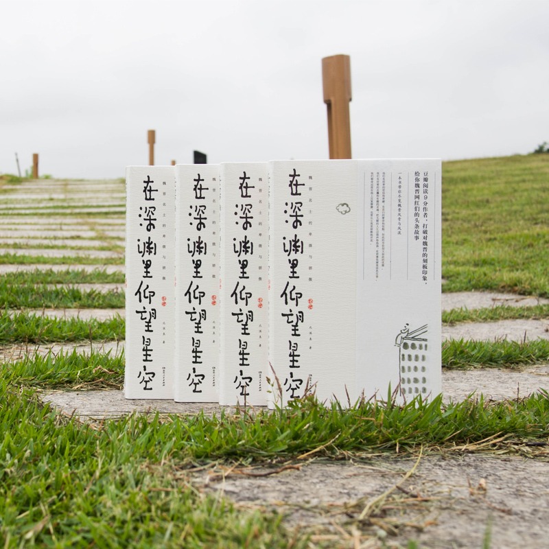 [正版] 在深渊里仰望星空:魏晋名士的卑微与骄傲 北溟鱼著 打破对魏晋的刻板印象 魏晋历史人物的头条故事 历史知识读物高清大图