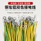 2.5平方200mm长 孔8毫米 铜包铝材质一包100根 桥架接地线全铜编织带接地线铜包铝铝镀锡黄绿双色光伏板接地线