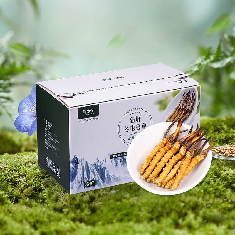 [顺丰空运直达]阿依舍西藏新鲜冬虫夏草正品鲜虫草季套餐0.5g/根180根礼盒装鲜草