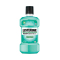 李施德林(LISTERINE)齿龈防护漱口水250ml