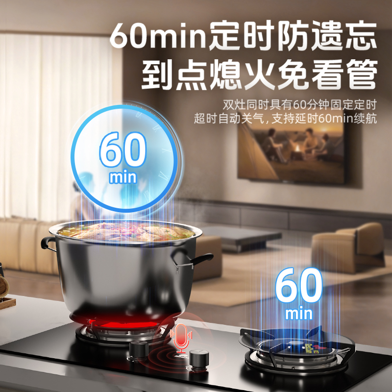 红日(RedSun)家用台嵌两用熄火保护 固定定时 1200℃猛火燃气红外线灶 节能省气灶EX26B液化气高清大图