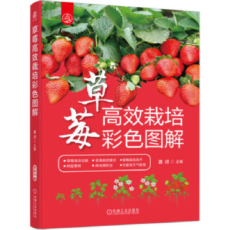 正版新书】草莓高效栽培彩色图解路河 主编9787111729693