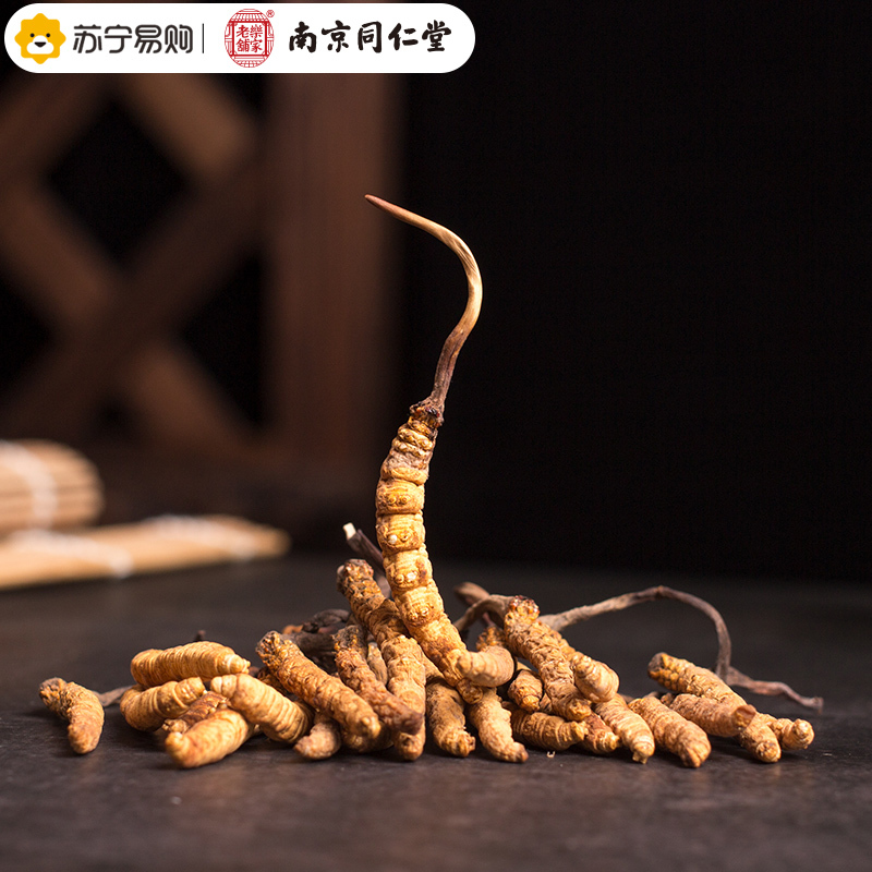 桑克南京同仁堂拉冬虫夏草冬虫草那曲东虫夏草4条/克一级精选礼盒干货正品