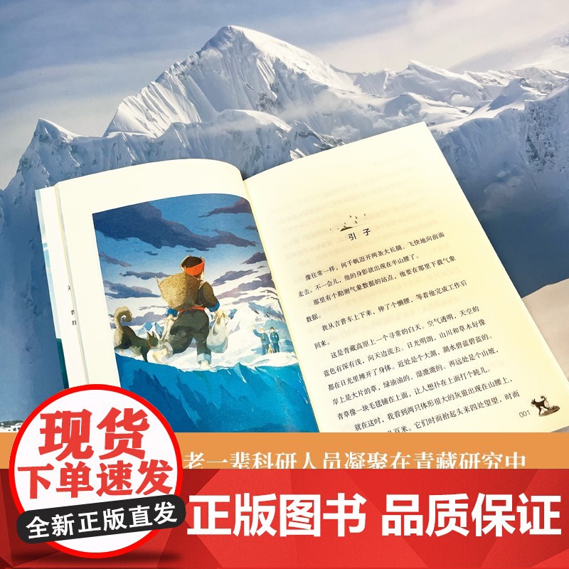 《高原上的小向导》2024百班千人五年级暑假阅读小学生课外阅读书籍9-12岁儿童文学小说正版五六年级青少年儿童文学成长图高清大图