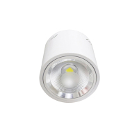 众朗星 ZL8855 LED站台灯 40W LED光源