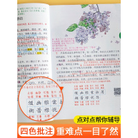 2021新版课堂笔记六年级上册语文部编人教版课本同步解读小学生6教材全解学霸帮全解人教七彩