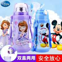 迪士尼(DISNEY)儿童保温杯带吸管杯两用小学生水壶幼儿园小孩宝宝水杯
