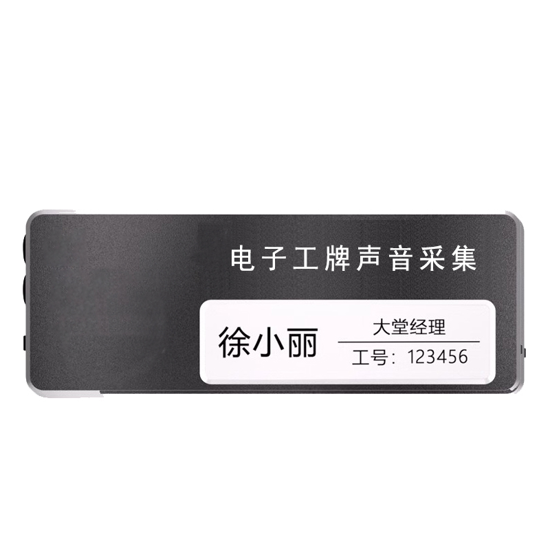 泰迪信 DSJ-H60 电子工牌声音采集高清大图