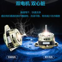 小天鹅（LittleSwan） 8.5kg公斤大容量双桶筒双缸半自动家用波轮洗衣机老式 TP85-S955