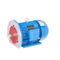 WNM安徽皖南电机 YE5-100L-4 3KW