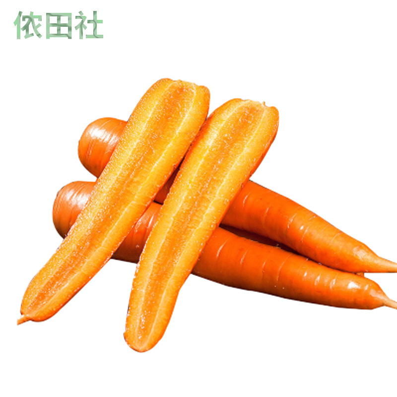 水果胡萝卜新鲜现挖山东沙地蔬菜农家当季脆甜红萝卜生吃榨汁