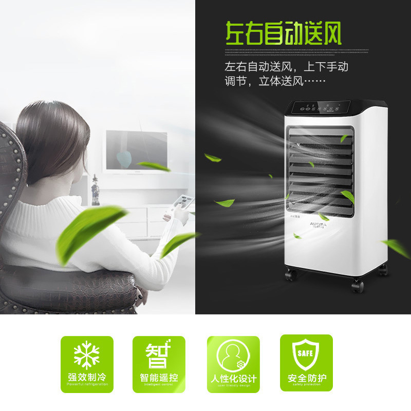 澳柯玛(AUCMA)空调扇LRG10-B05(Y) 遥控控制定时 家用低噪 冷暖两用 冷暖风机室内加热器