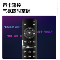 爱浪(AvliGHT) DX20-08 户外广场舞音响直播K歌拉杆移动便携一体式大功率音箱抖音快手网红 8吋