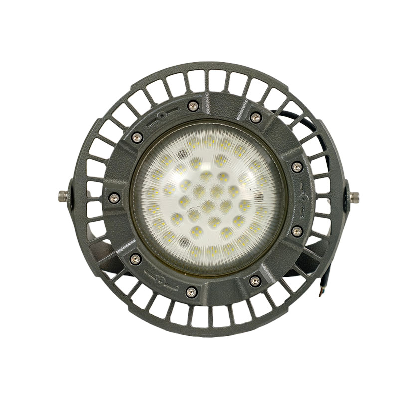 OHUIZAOMIN LED防爆灯 OHBF8236-100W(含安装) 个