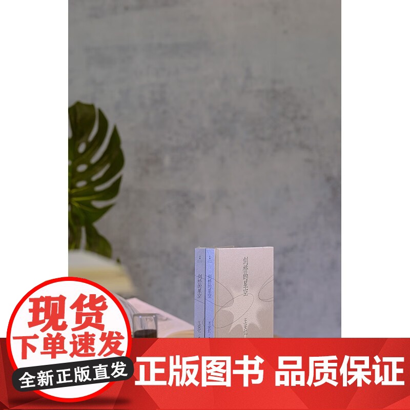 剑桥的星空 王安忆 著 名家作品高清大图