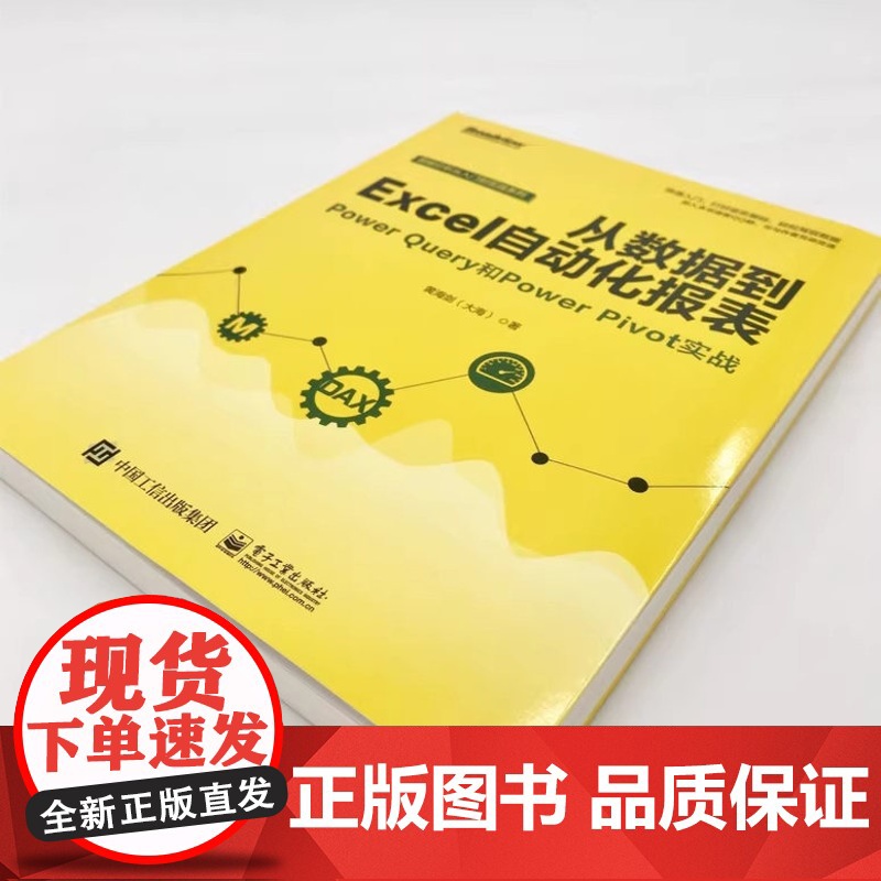 从数据到Excel自动化报表 Power Query和Power Pivot实战 商业智能数据处理Power BI数据分高清大图