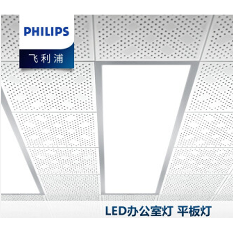 飞利浦 LED集成吊顶灯吸顶灯 嵌入式平板格栅卫生间灯具200x1200 22W白光