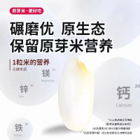 [仅上海地区发货,72h发货,2380元起送]应物白水乡原芽米-5kg(4月13日前订单48h发货)