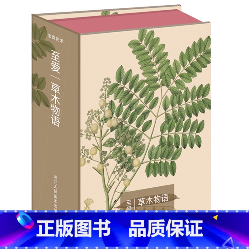[正版]书籍 出类艺术明信片 至爱·草木物语清新唯美植物画片草木物语创意生日贺卡 科罗曼岸德海岸植物手绘画集明信片