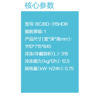 海尔(Haier)315升 卧式冷柜 断电保护 节能省电 大冷冻力 商用大冰柜 BC/BD-315HDB