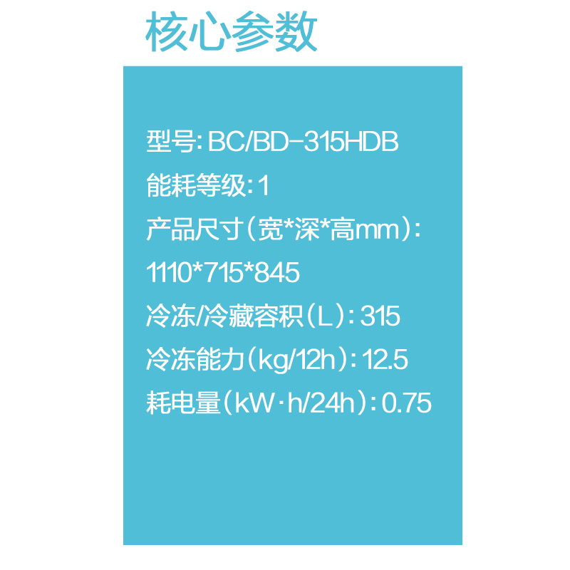 海尔(Haier)315升 卧式冷柜 断电保护 节能省电 大冷冻力 商用大冰柜 BC/BD-315HDB