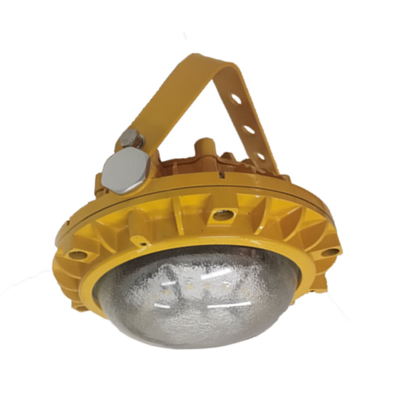 光大特照 EBF605 (L/YJ)-20 20W 220V IP66 LED顶灯 (计价单位:个) 黄色高清大图