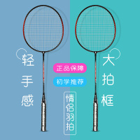 乐士ENPEX 羽毛球拍铁合金家庭娱乐对拍 情侣737对拍