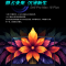 戴尔Dell Pro Max 18 Plus 18英寸图形移动工作站AI笔记本电脑 Ultra7-265HX 64G 2T SSD RTX Pro 3000-12G 2.5K