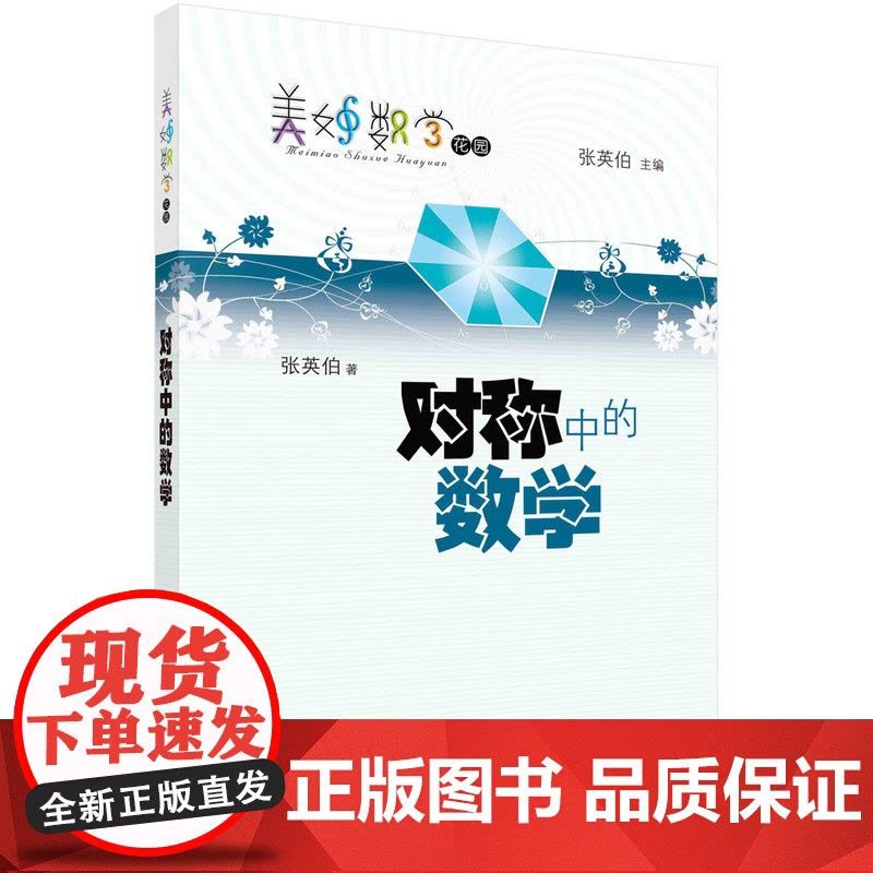 对称中的数学图片