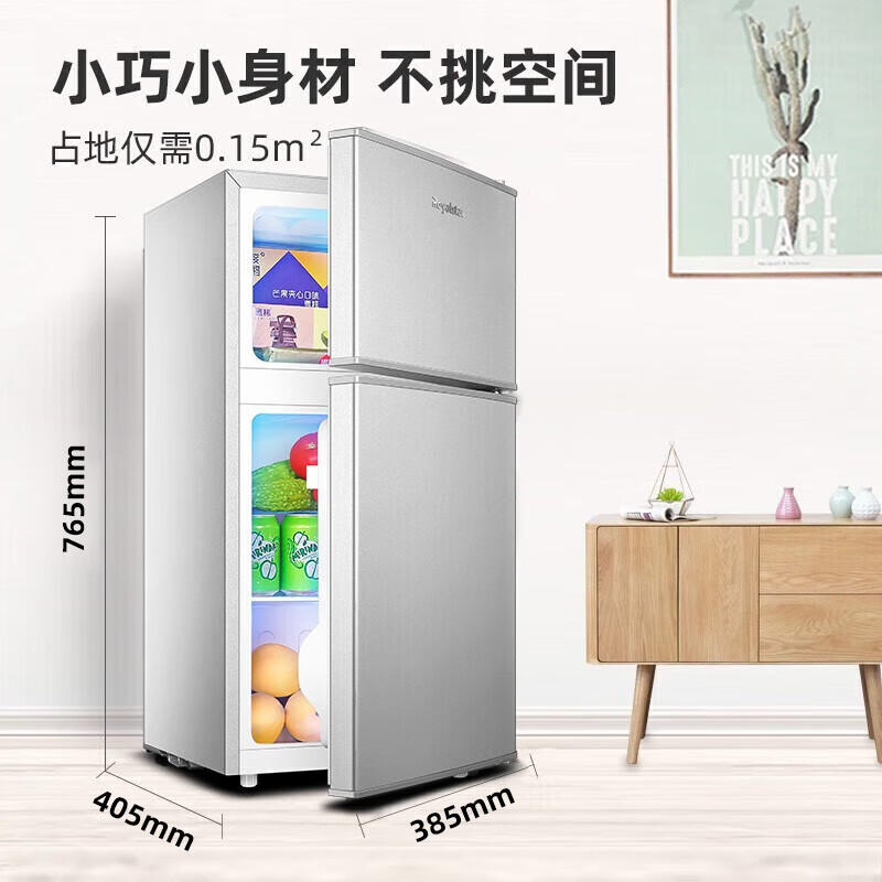 荣事达(Royalstar)48升小冰箱迷你小型双门家用 微霜租房宿舍冷藏冷冻节能省电 一级能效 58L9RSZ
