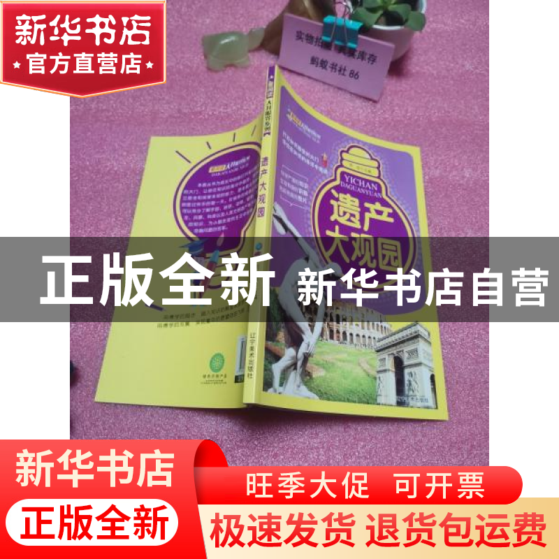 正版 遗产大观园 崔钟雷主编 辽宁美术出版社 9787531479888 书籍高清大图