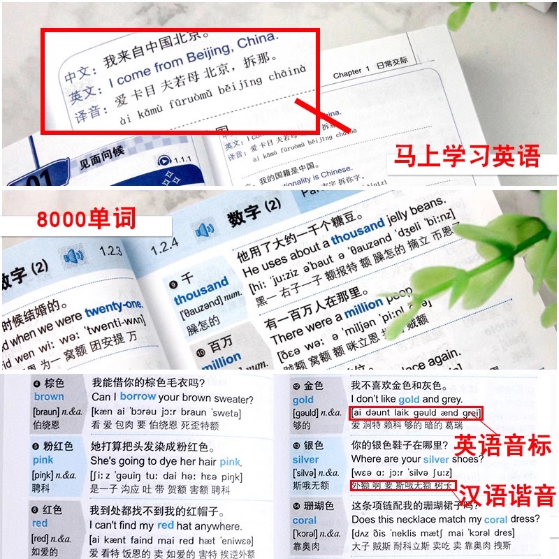 [全2册]英语口语马上说+8000英语单词 [正版]全2册 英语口语马上说+8000英语单词自学英语单词速成学习神器零基高清大图