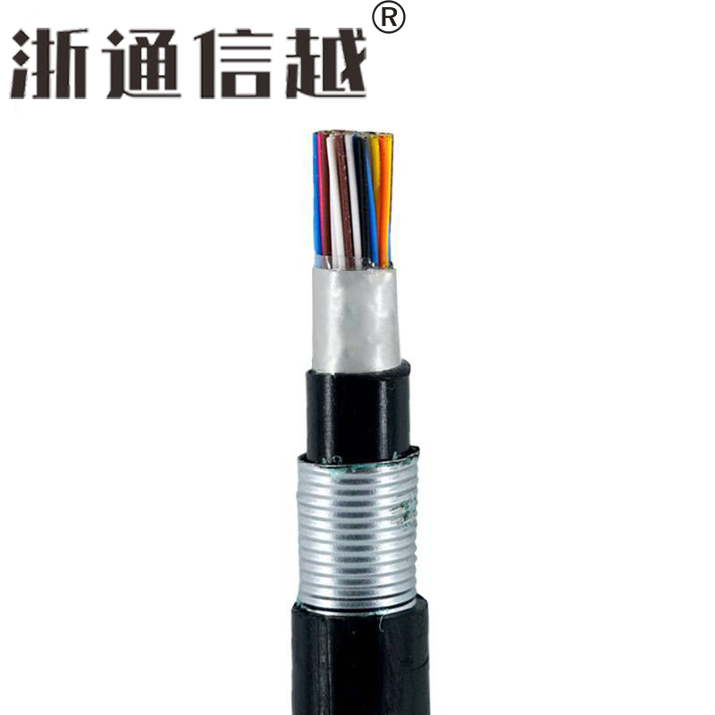 浙通信越 市话电缆 HYAT53 20*2*0.5 米高清大图