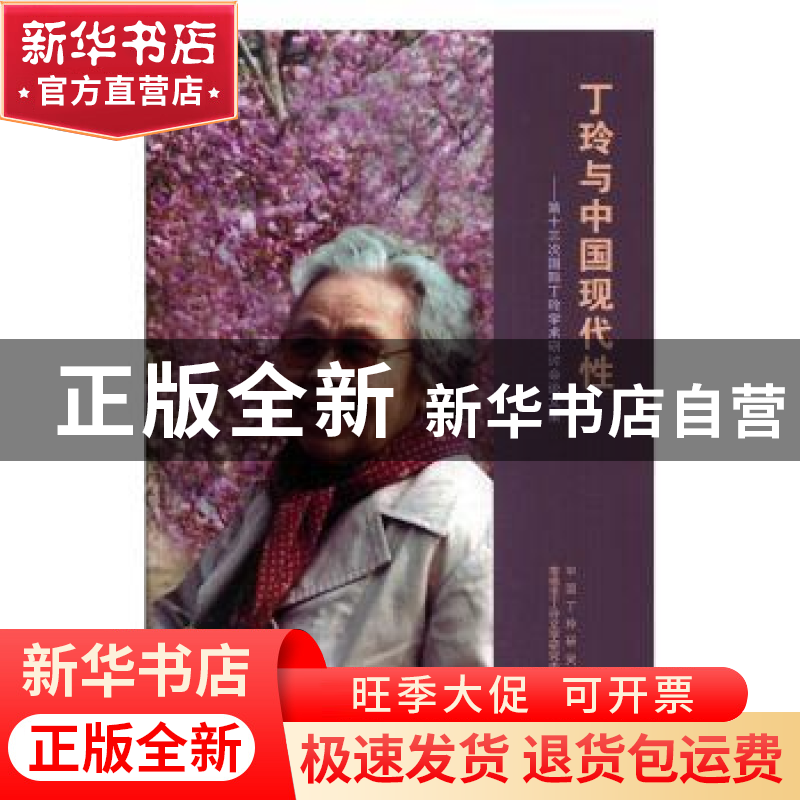 正版 丁玲与中国现代性--第十三次国际丁玲学术研讨会论文集高清大图