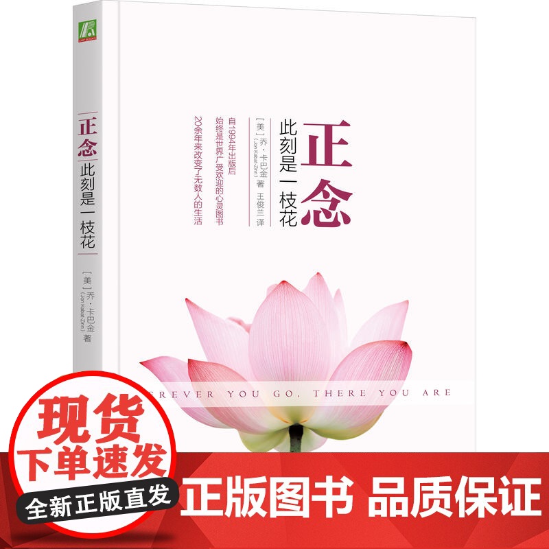 套装 正念 此刻是一枝花+觉醒 在日常生活中练习正念 套装全2册 乔恩 卡巴金 正念减压 阐明正念冥想精髓人生哲学心理学高清大图