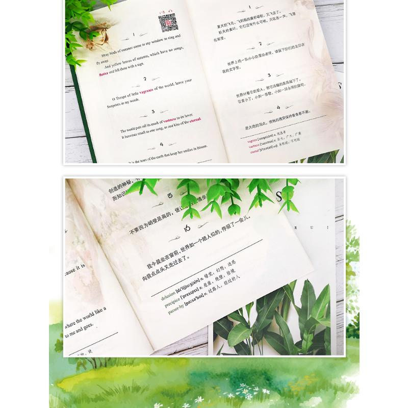 醉染图书飞鸟集(英汉对照注释版)9787511037893高清大图