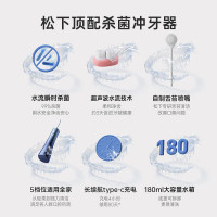 松下(Panasonic)冲牙器洗牙器超声波洁牙器立式便携水牙线 水流瞬时杀菌舌苔清洁 极光塔EW-1533-A 蓝色