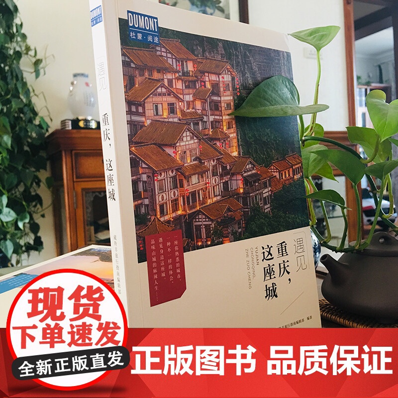 重庆 这座城 藏羚羊旅行指南编辑部 著 旅游地图高清大图